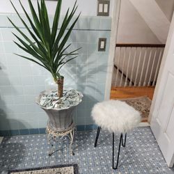 Fancy Stool...& Fancy Youka Plant..both For Only $45