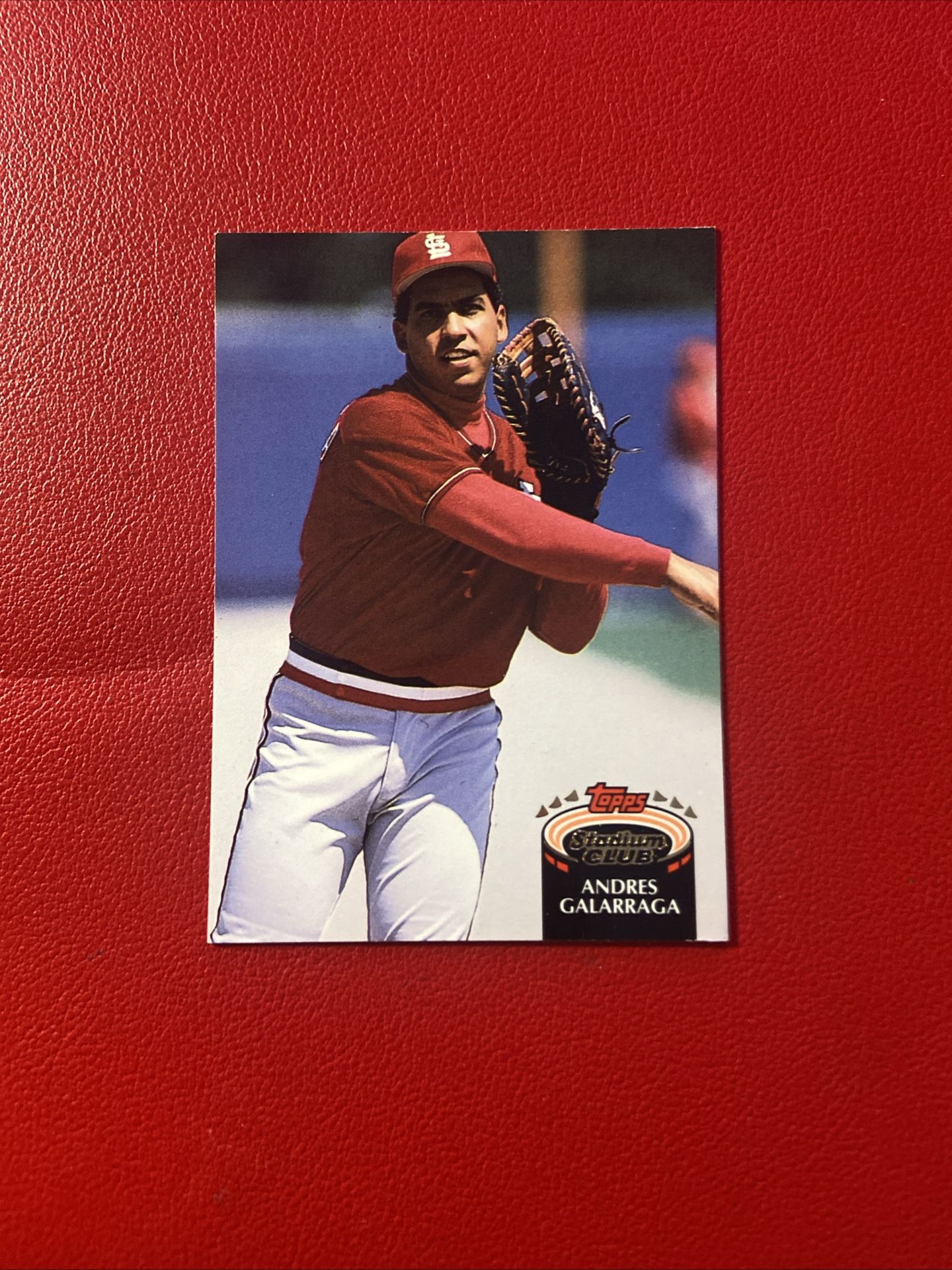 Baseball Card