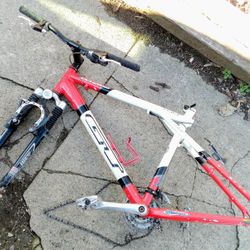 Gt hardtail frame sale