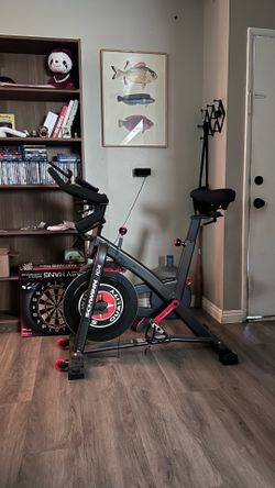 Schwinn IC4
