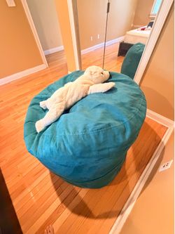 Bean Bag Chair