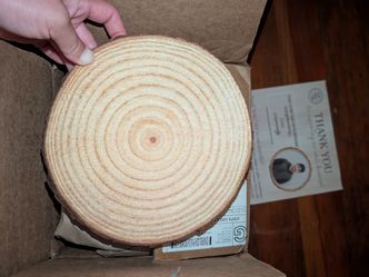 Wood Slices set of 12