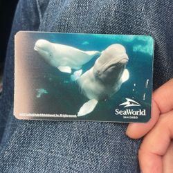 Seaworld San Diego Single Day Adult Tickets