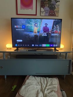 Insignia 50in TV