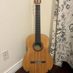 Guitar and stand 
