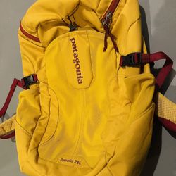 Patagonia Backpack 