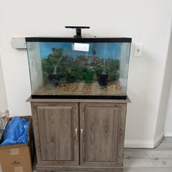 30 Gallon Aquarium/Cabinet And Supplies 