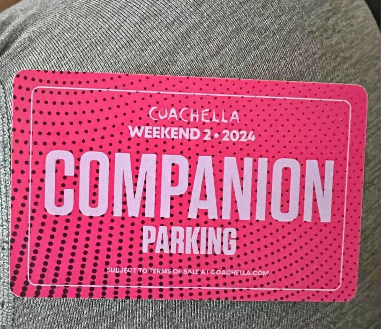 Coachella Companion Pass