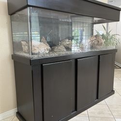 Big Fish Tank - Free