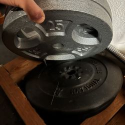 25 Lbs 1 Inch Plates 4