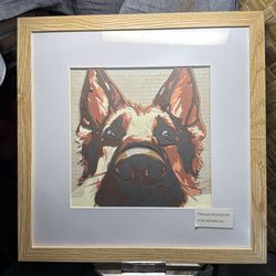 German Shepard “I’m watching you”