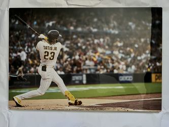 FERNANDO TATIS JR METAL ART