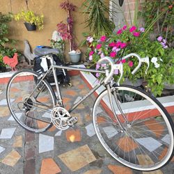Lotus 15-Speed Road Bike 
