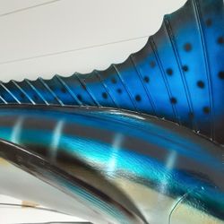 Perfect White Marlin  .... 79" Long