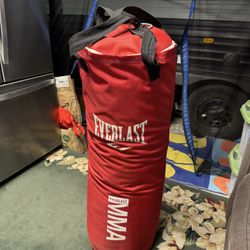 Punching Bag
