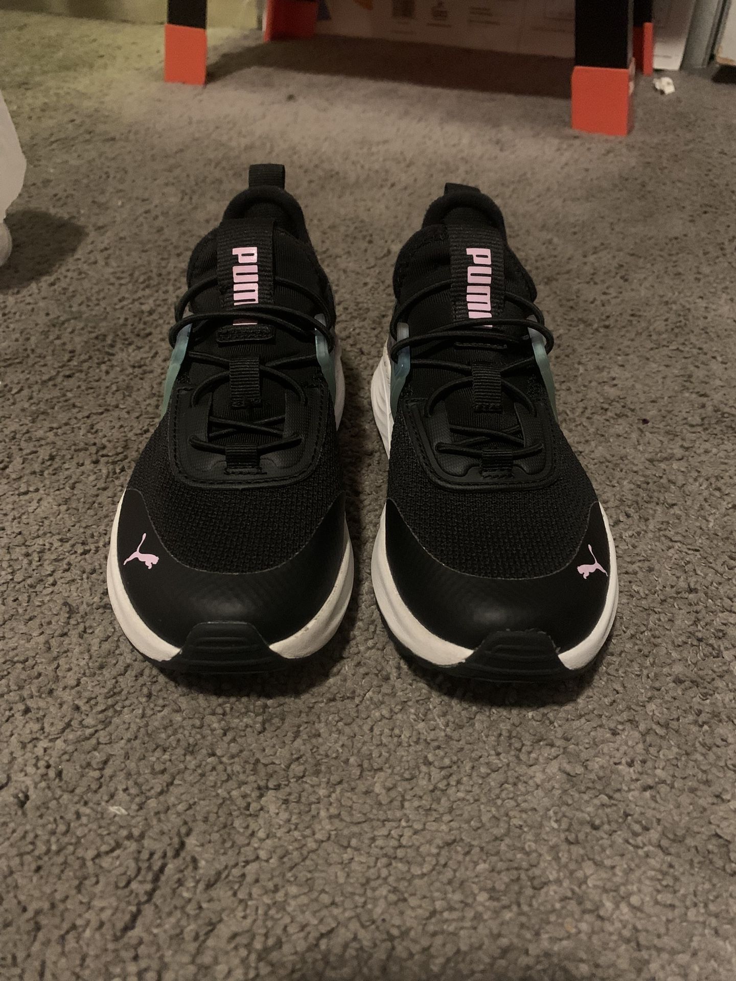 New Pumas