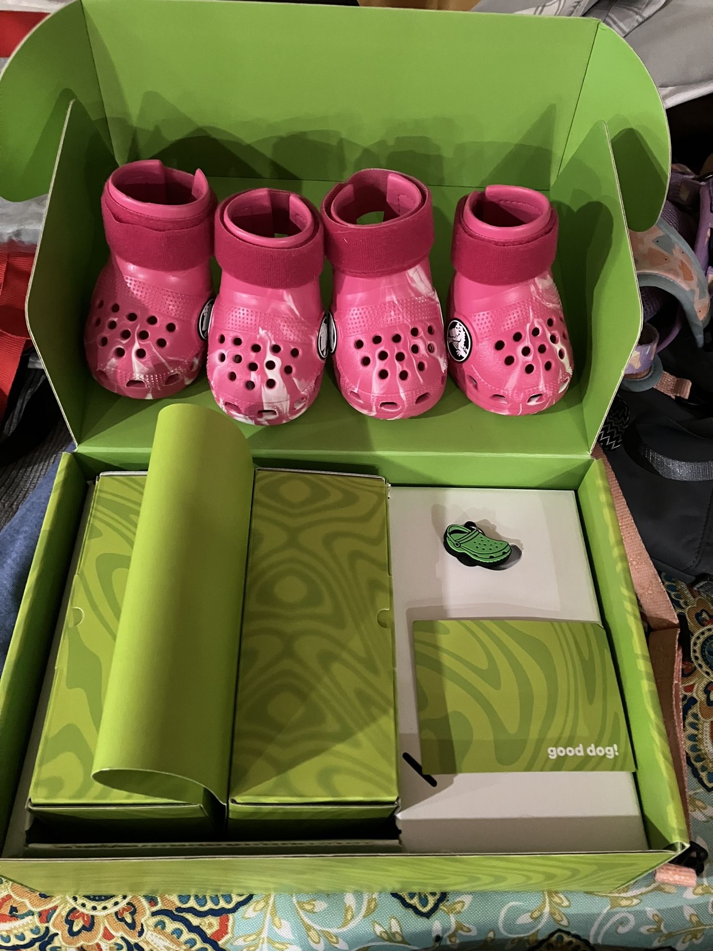 Dog Croc Shoes Size Large
