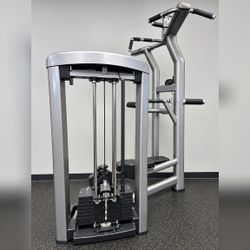 Life FItness Insignia Series Assist Dip Chin (SS-ADC) - Excellent - Genoa, NV