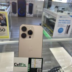 No Credit Needed 🔥