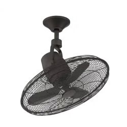 Ceiling Fan 22 in. Indoor/Outdoor Natural Iron Oscillating with Remote Control