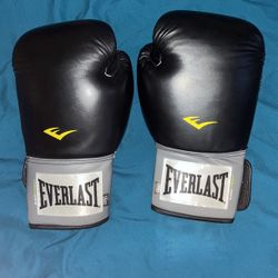 Everlast 16 Oz Gloves 