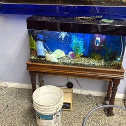 20 Gallon Acrylic Fish Tank 