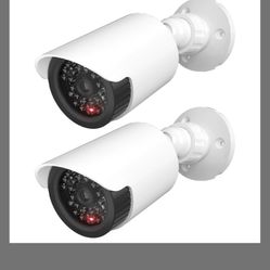WALI Dummy Fake Camera, Surveillance Security CCTV Dome Camera, Indoor Outdoor Cameras, With One LED Light, Security Alert Sticker Decals (TC-W2), 2 P