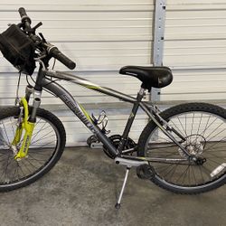 Schwinn Adolescent Bike