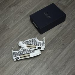 Dior B23