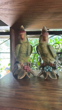 Cockatoo set