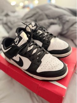 Dunks 9.5