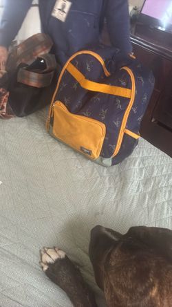 Oshkosh B’gosh Genuine Backpack 