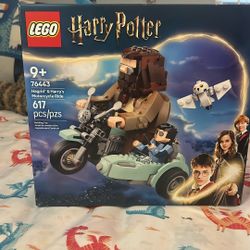 Exclusive Hart Potter Lego