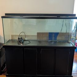 100 Gallon Fish Tank with Fluval FX4
