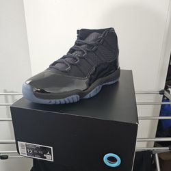 Gamma Blue Jordan11s 