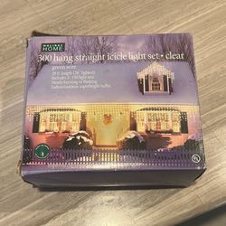 Outdoor Lights (300 lights in box) NEW 
