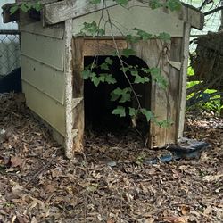 Dog House 