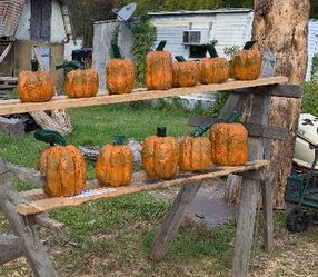 Halloween 🎃 Wood carves Pumpkins various sizes Sizes