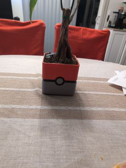 Poke Ball Planter 