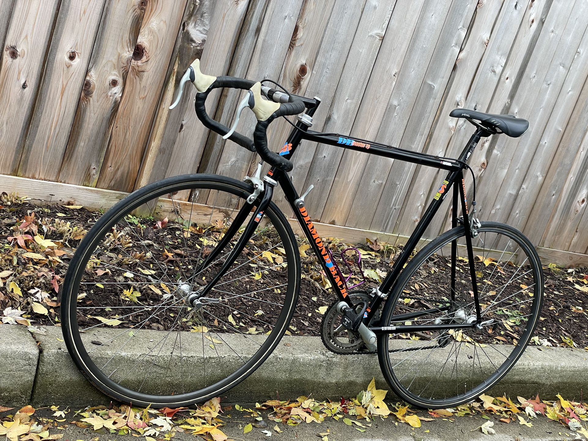 1991 Diamondback DB Master TG tange. Steel is real