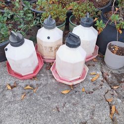 Chicken Waterers