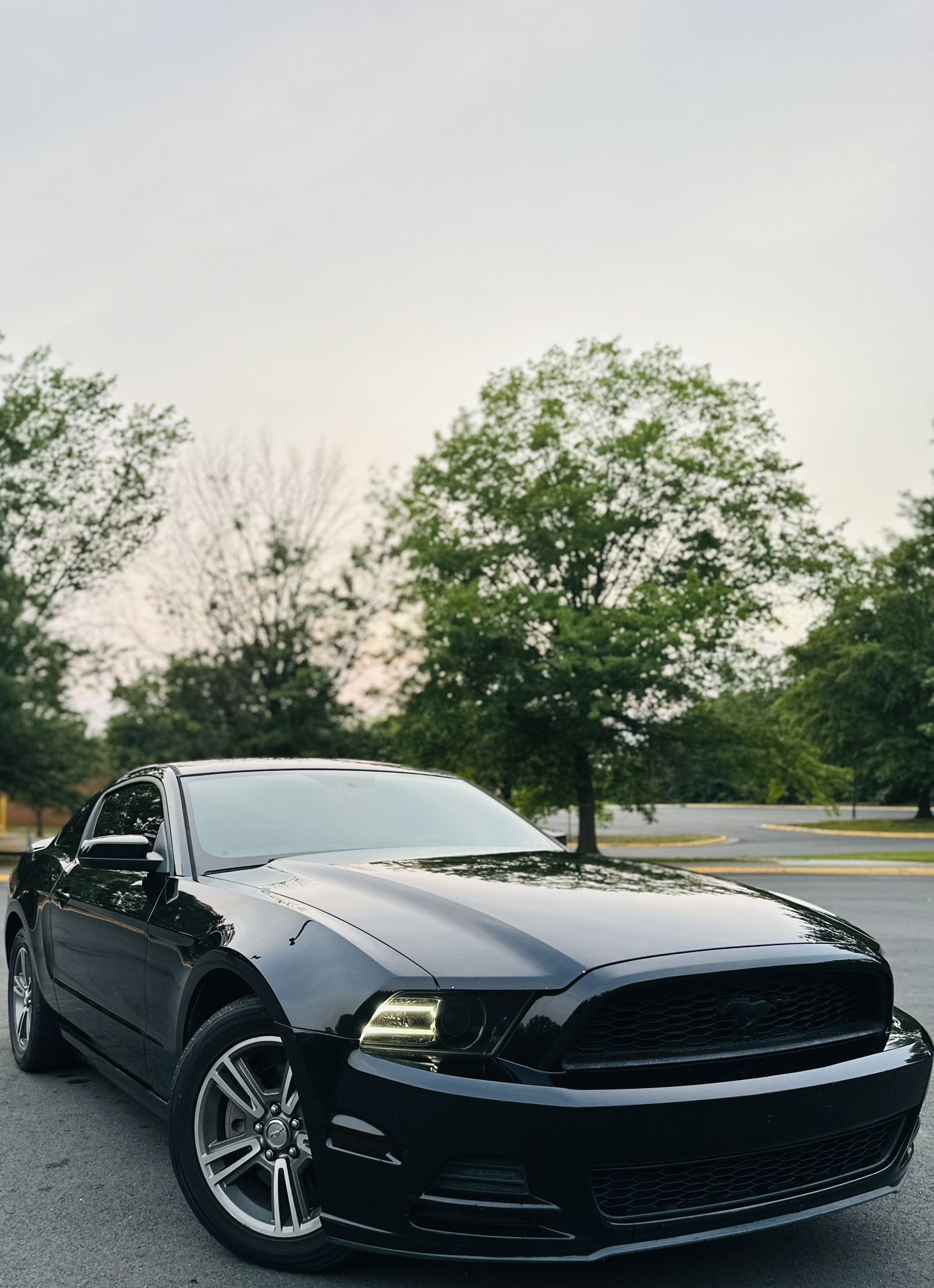 2013 Ford Mustang