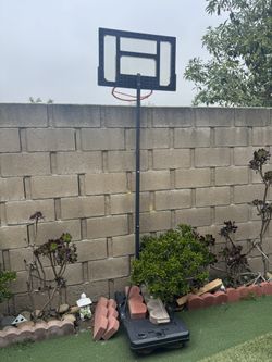 Free Basket Ball Hoop