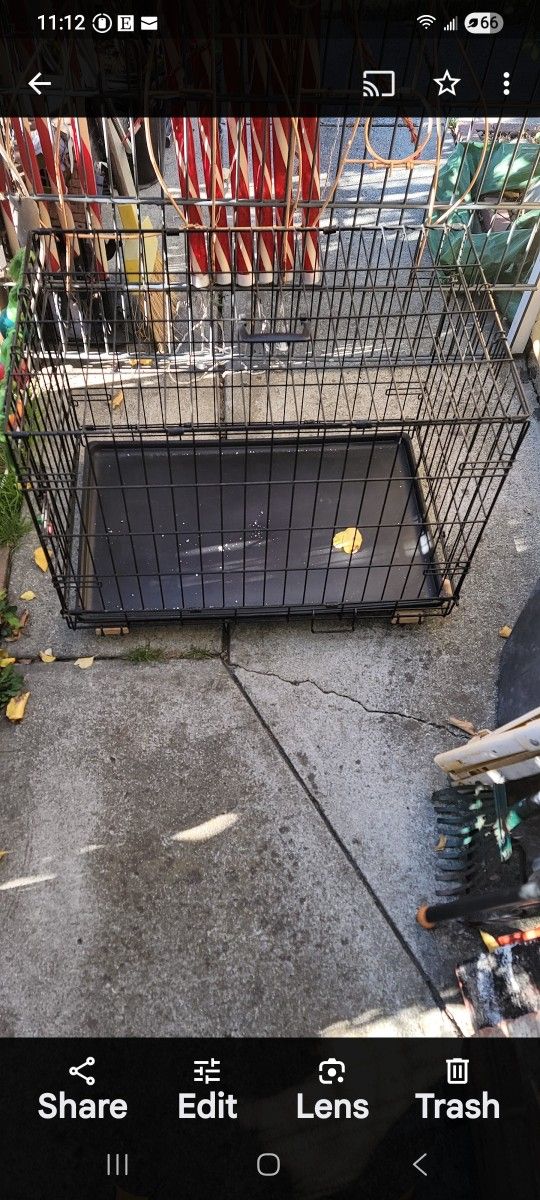 Medium Size Pet Travel Cage