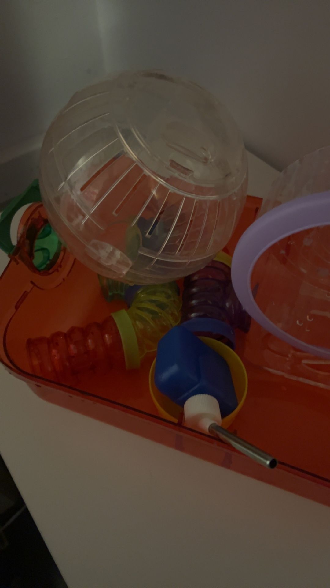 Hamster Supplies Bundle (including food & bedding)