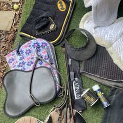 Horse Blanket, Pads, Martingale, Etc.  