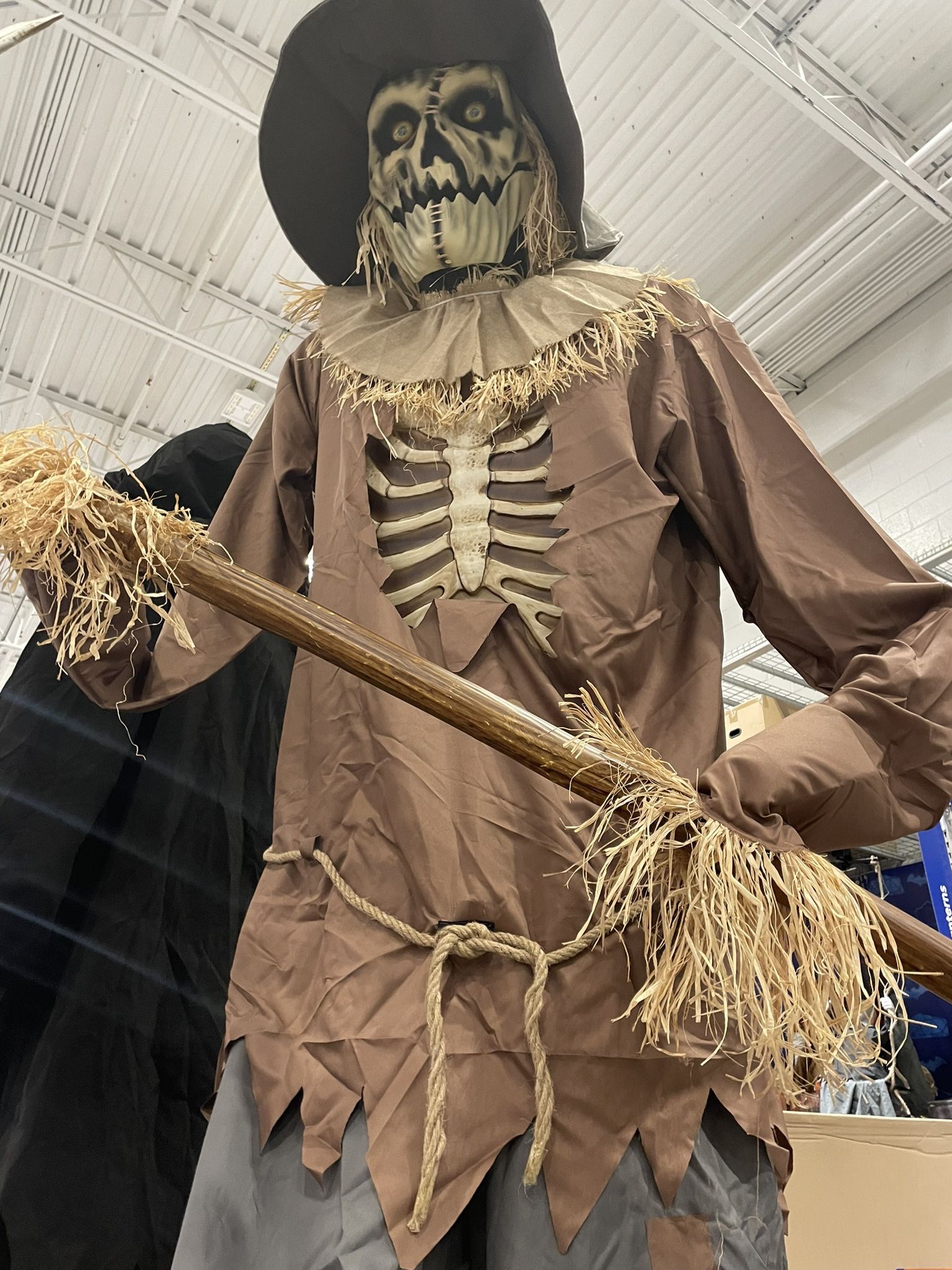 Halloween Scare Crow