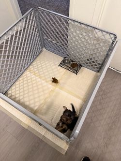 Dog crate