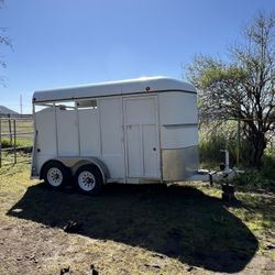 2004 Morgan Built 2 Horse Slant