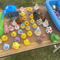 Rubber Ducks